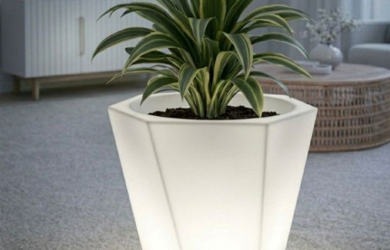 maceta blanca 600x600