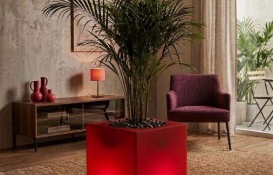 maceta roja 600x600