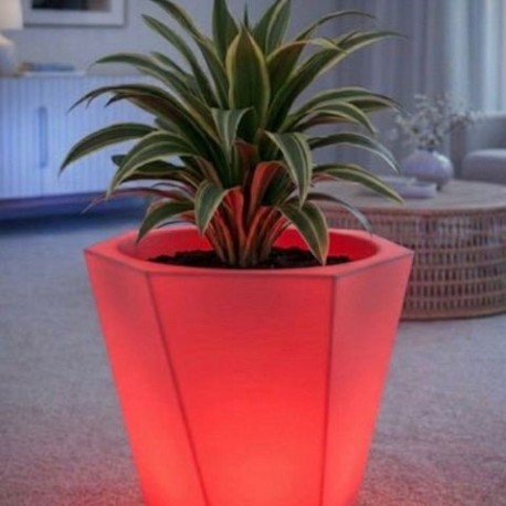 maceta roja 640x480
