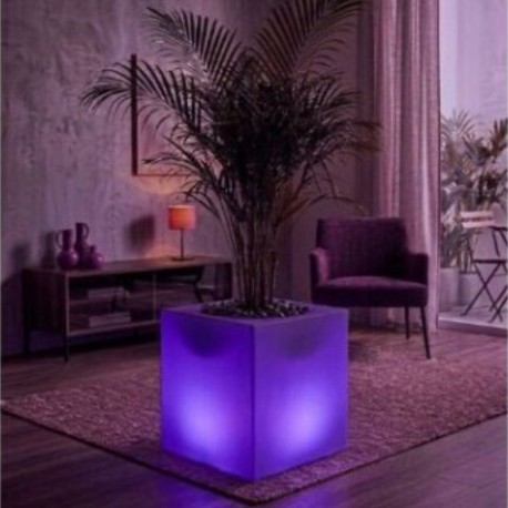 maceta violeta 640x480 v3