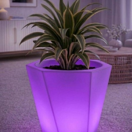 maceta violeta 640x480